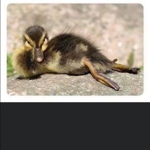 Meet your Posher, Heriberto